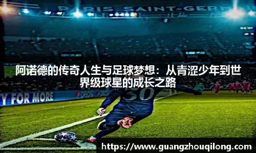 快盈VIII